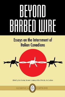 beyond_barbed_wire_book_2